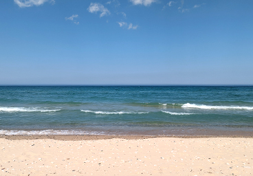 view of Lake Huron from the beach