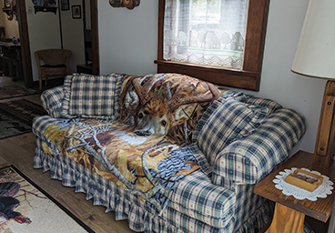 a cozy green plaid sofa with cushions in the living room nook at Cedar Cliff Cottage