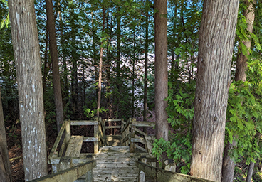 view of Lake Huron from the top of the beach access stairs at Cedar Cliff Cottage