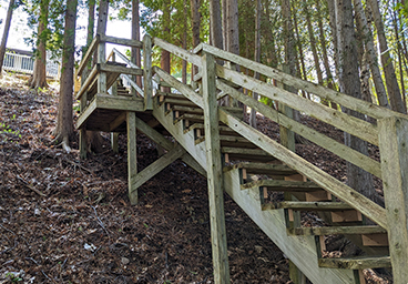 looking up the beach access stairwell toward the top of the hill at Cedar Cliff Cottage