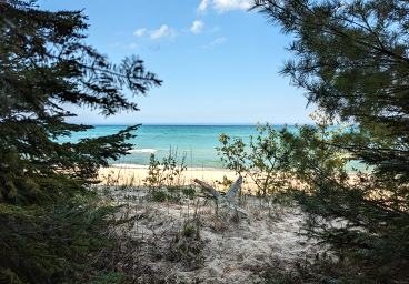 view of the Lake Huron beach as you are coming out of the woods at Cedar Cliff Cottage